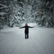 Winter wonderland