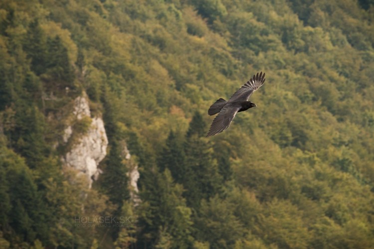 ~ Vysoko nad krajinou