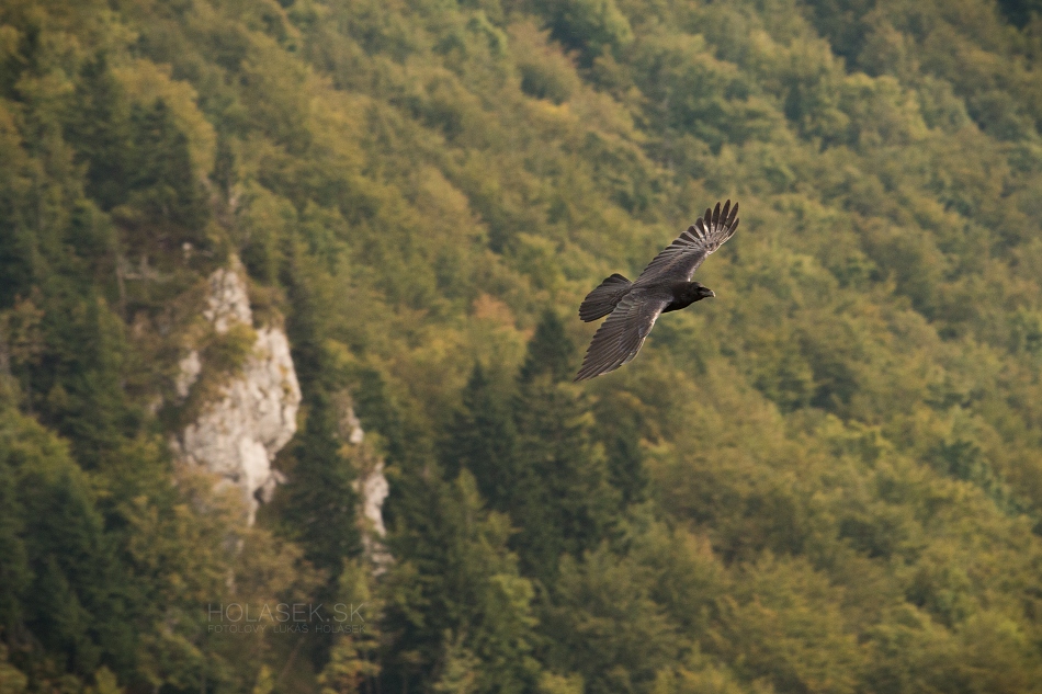 ~ Vysoko nad krajinou