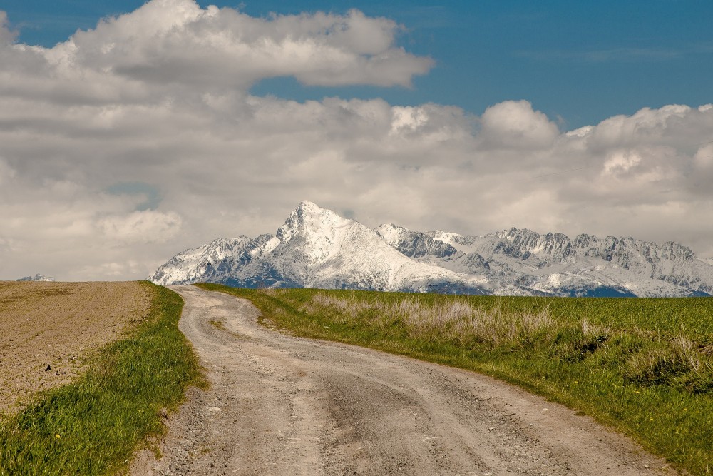 Slovensko naše.