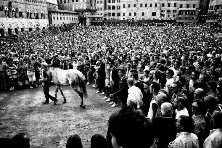 Palio di Siena