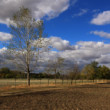 Cesta do neznáma