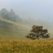 zobúdzanie kvačianskych lúk