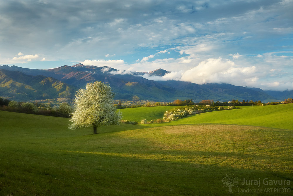 "Mystérium krajiny"