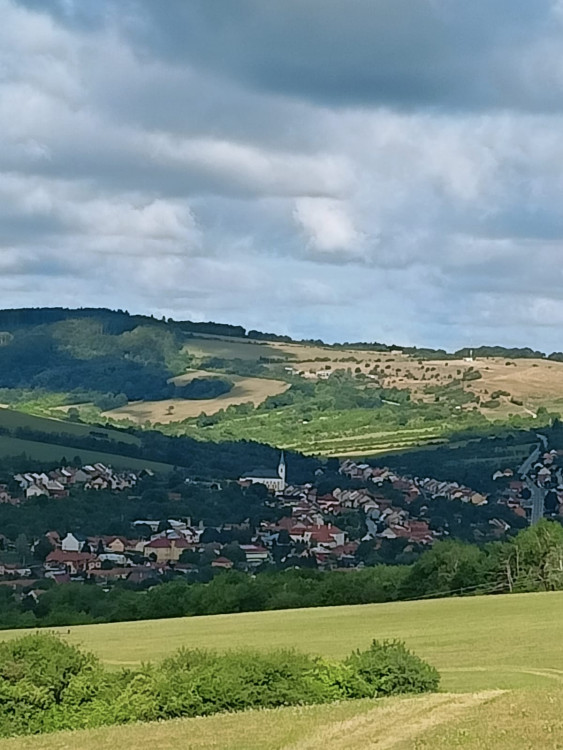 Stráni, Kvetna