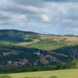 Stráni, Kvetna
