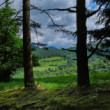 Medzi dvomi