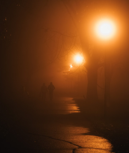 Prechádzka v hmle