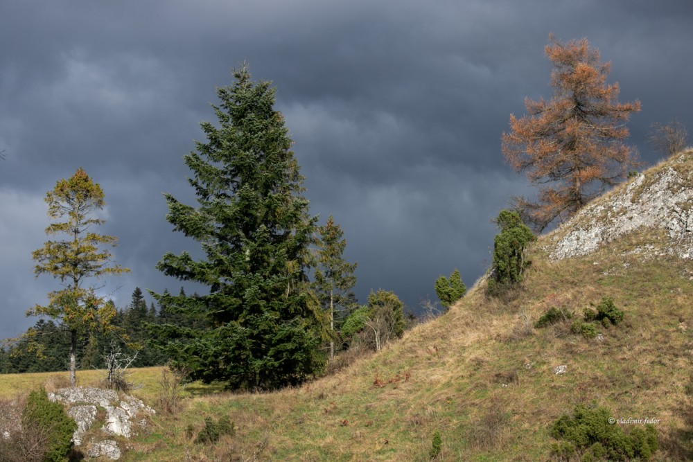 Certova skala-Jarabina