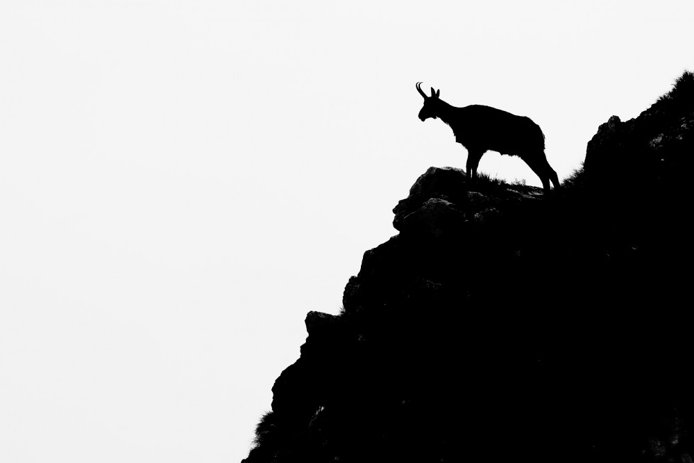 Silueta