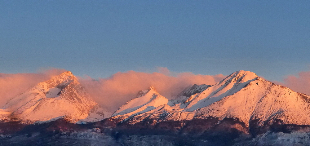 V ružovej vatičke