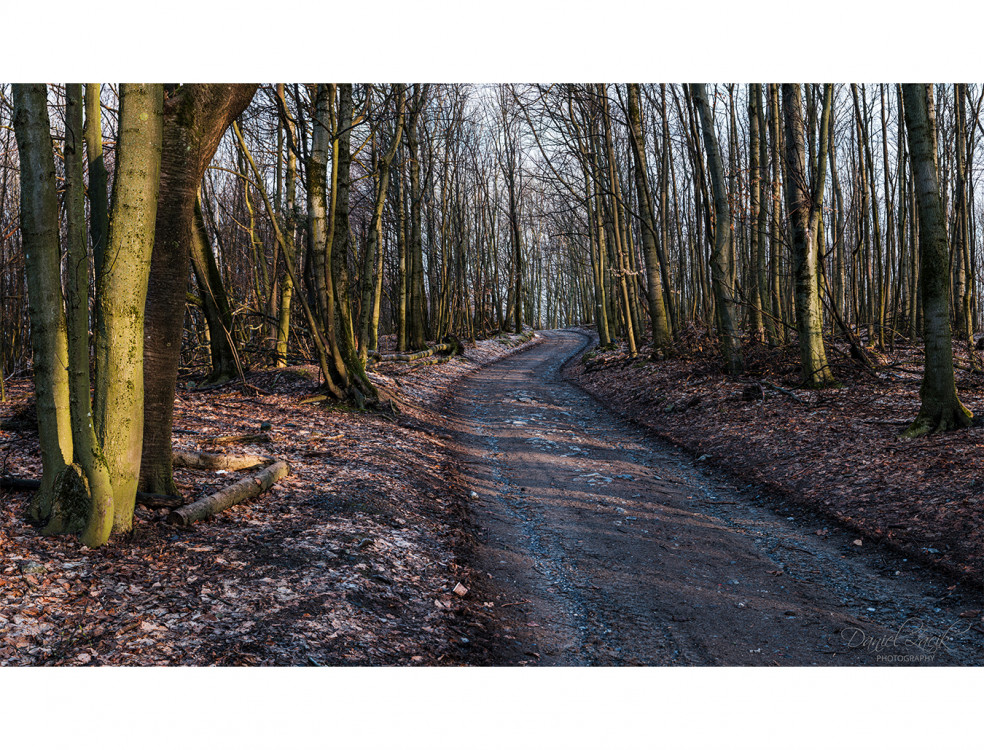 Lesný pokoj, Panorama