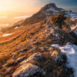 Kamenický hrad