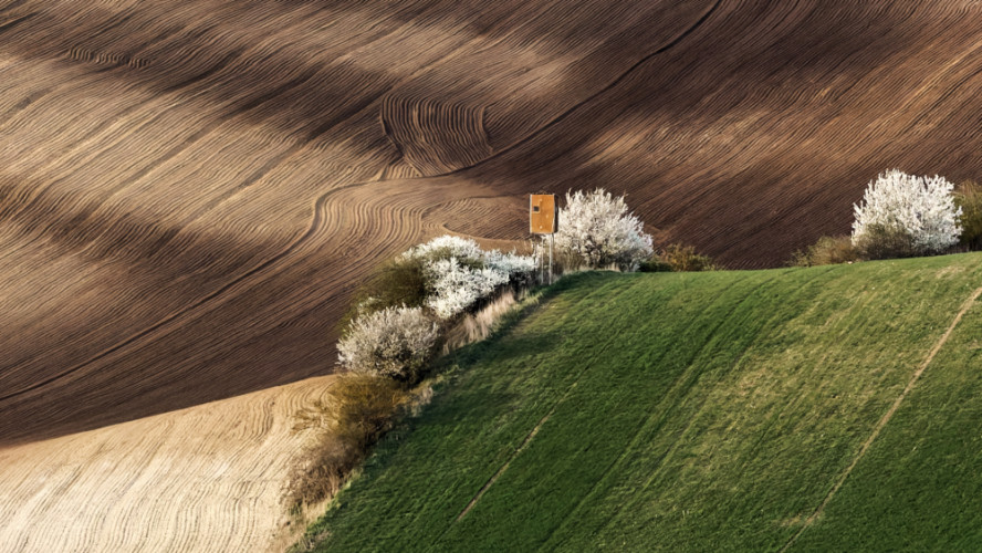 Šardicko v podvečer na vlně u soudku2