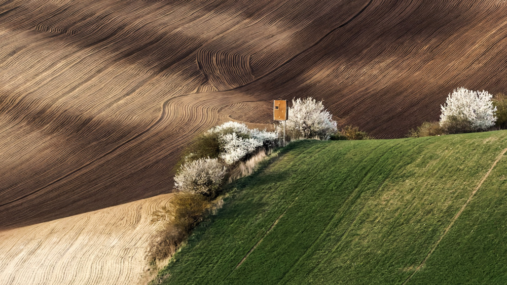 Šardicko v podvečer na vlně u soudku2