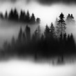 Black Winds
