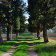 .. cesta domov ...