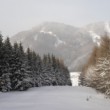Pohľad do Fačkovho sedla