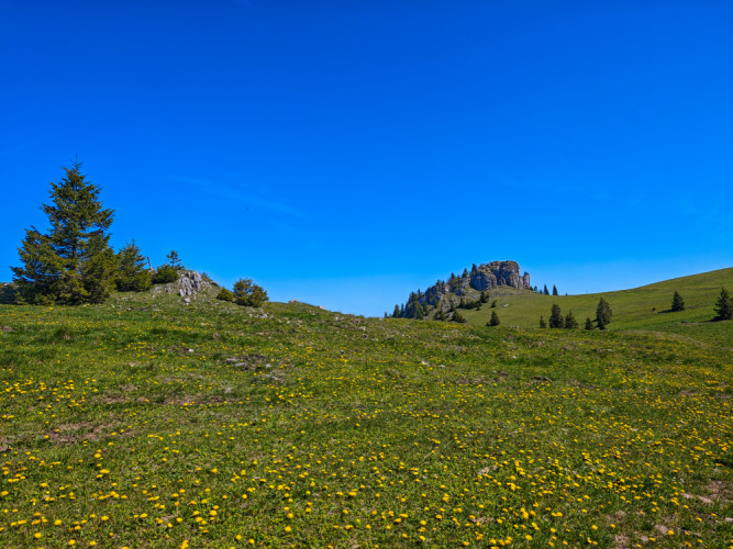 Kráľova skala