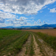 Turiec