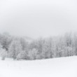 Snežná krajina