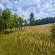 Súľovske vrchy