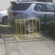 Modalita mobility bielych plastov