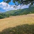Súľovske vrchy