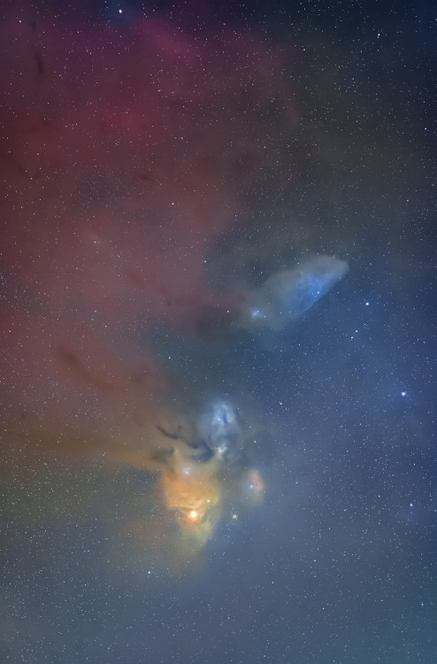 Rho Ophiuchi cloud complex