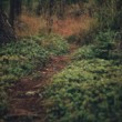 Path