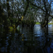 Kučišdorfske jazero
