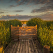 Weiden am see