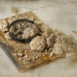 Ukrytá minulosť