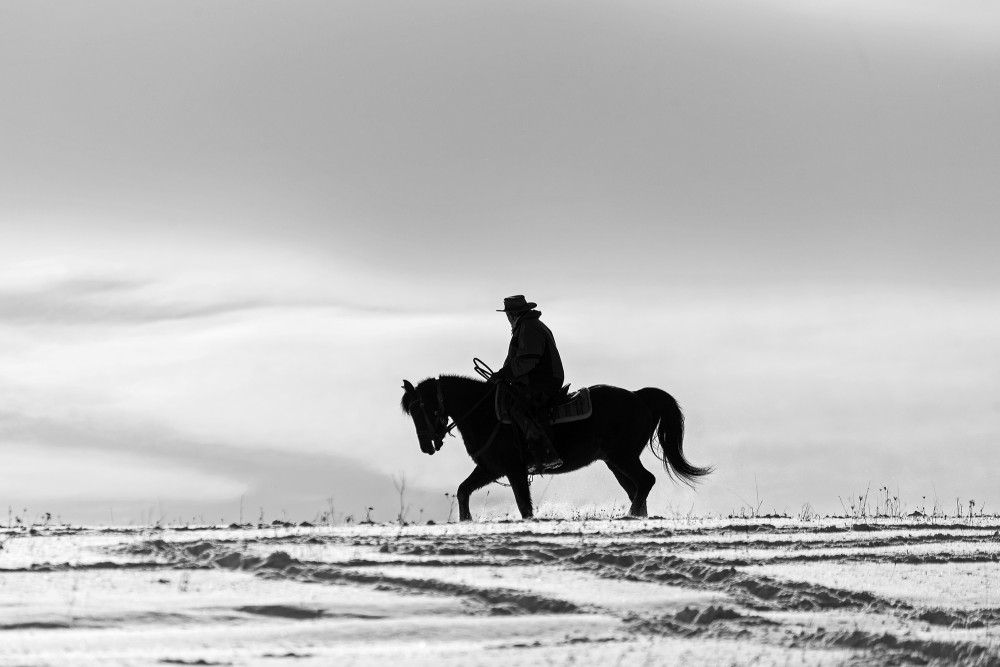 Slovenský cowboy