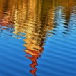 Reflex