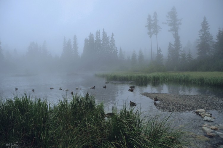 Nové Štrbské pleso