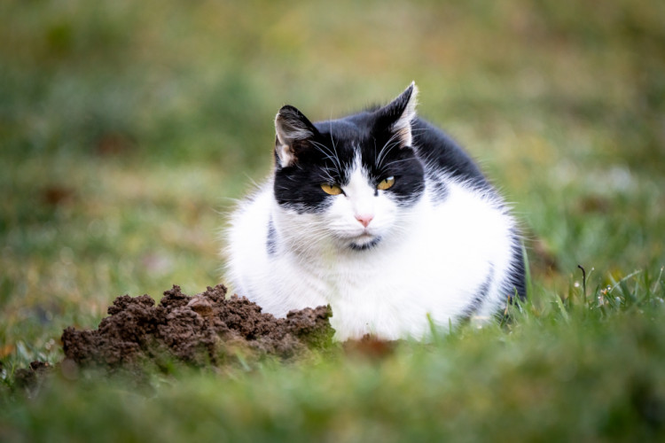 Dnes bude na obed krtko