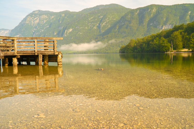 Bohinjsko jazero