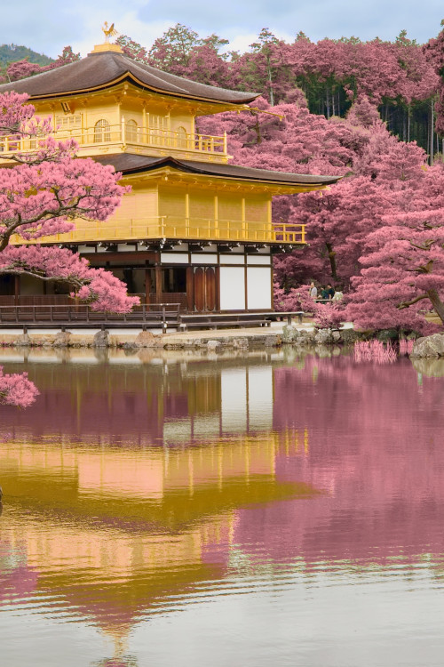 Japonsko cez ružové okuliare