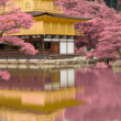 Japonsko cez ružové okuliare
