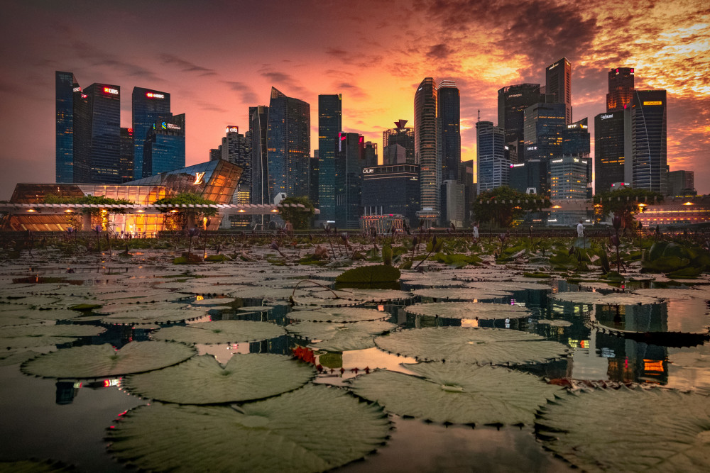 Singapur