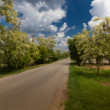 agáty