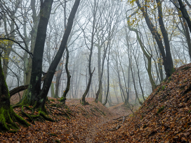 Jeseň v Malých Karpatoch
