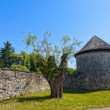 Červený Kameň - bašta