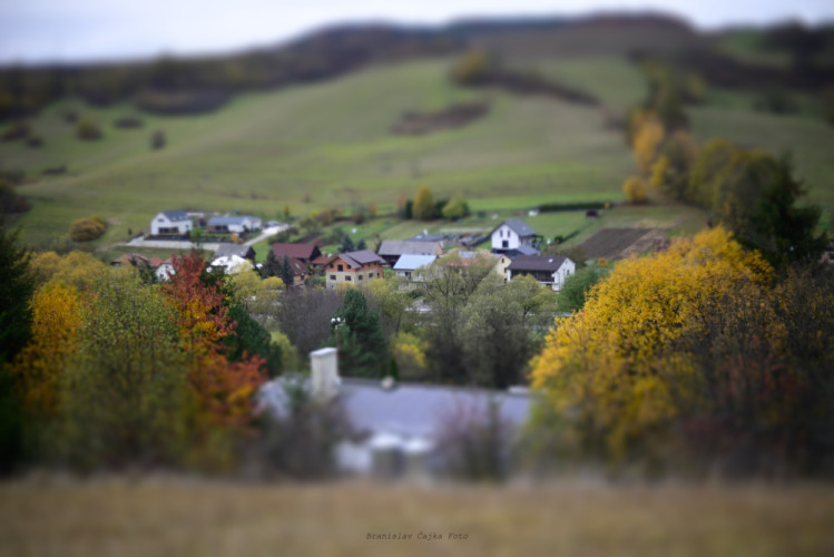 dolina