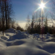 Nad oblakmi