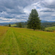 Strážovske vrchy