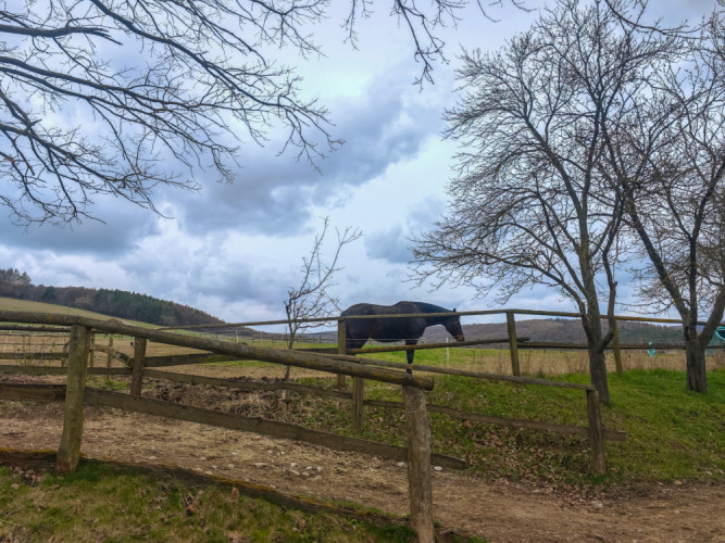 Trenčianska Závada