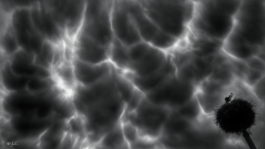 Mammatus