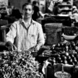 Predavač v Port Louis central market